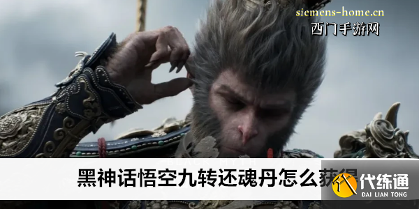 黑神话悟空九转还魂丹怎么获得
