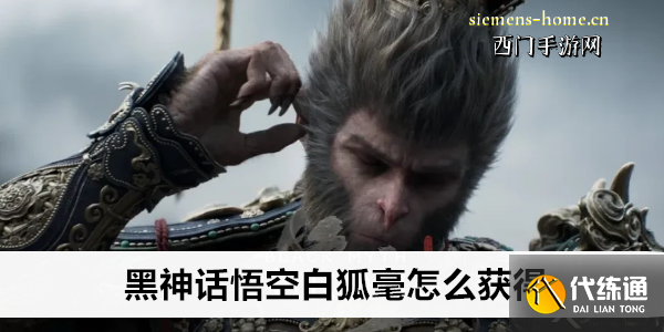 黑神话悟空白狐毫怎么获得
