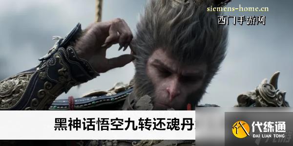 黑神话悟空九转还魂丹怎么获得