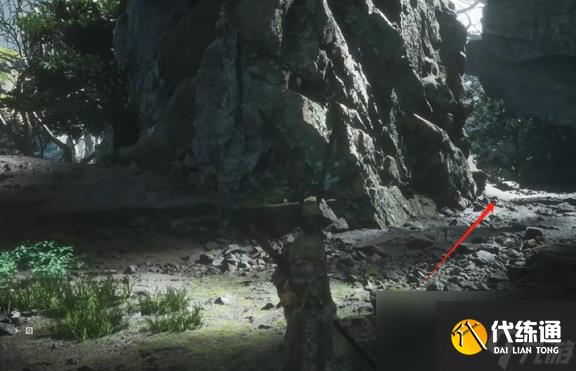 黑神话悟空九转还魂丹怎么获得