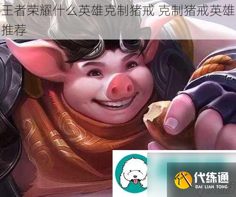王者荣耀什么英雄克制猪戒-克制猪戒英雄推荐