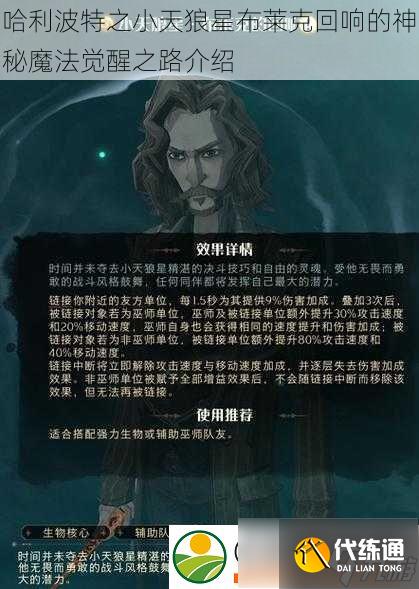 哈利波特之小天狼星布莱克回响的神秘魔法觉醒之路介绍