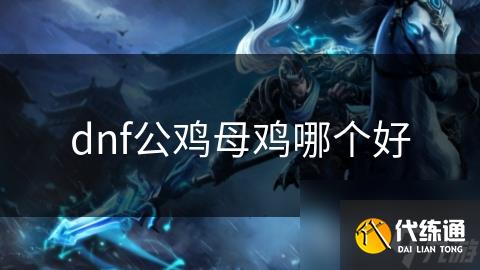 dnf公鸡母鸡哪个好