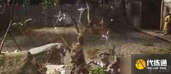 黑神话悟空清虚道果如何获取 清虚道果获取方法