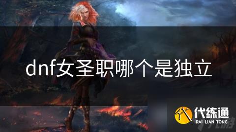 dnf女圣职哪个是独立