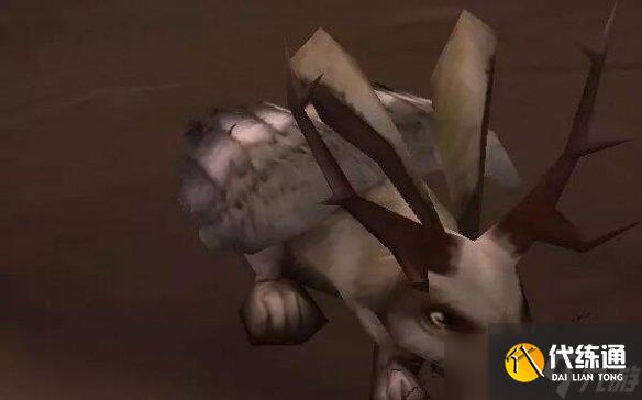 魔兽世界wlk2024鹿角小飞兔在哪抓取 鹿角小飞兔抓取位置一览