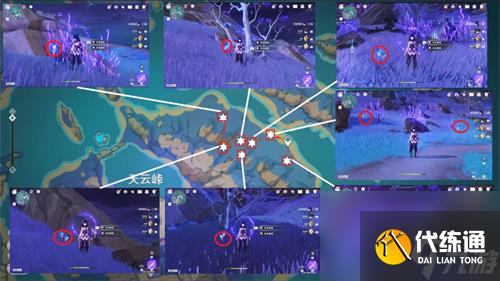 原神天云草实采集路线图 天云草实位置在哪