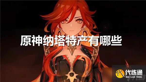 原神纳塔特产有哪些