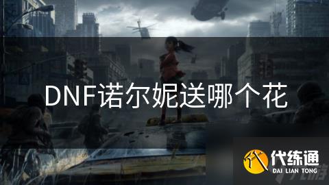 DNF诺尔妮送哪个花