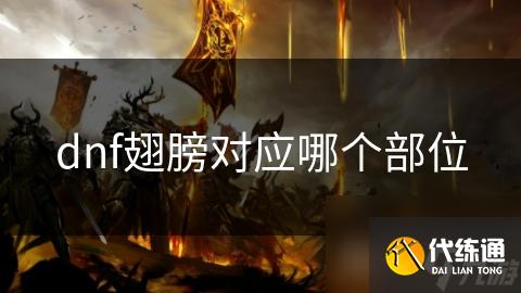 dnf翅膀对应哪个部位