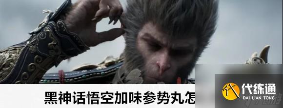 黑神话悟空加味参势丸的位置拿