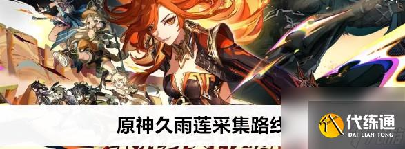 原神久雨莲的位置采