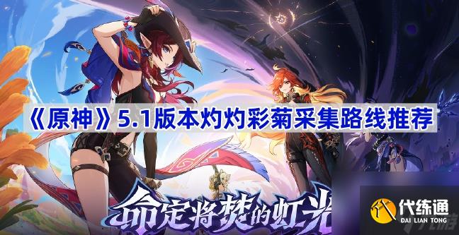 《原神》5.1版本灼灼彩菊采集路线推荐