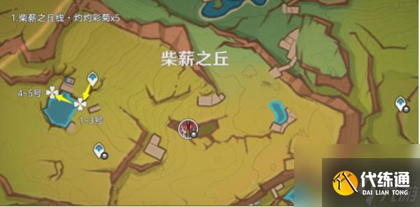 《原神》5.1版本灼灼彩菊采集路线推荐