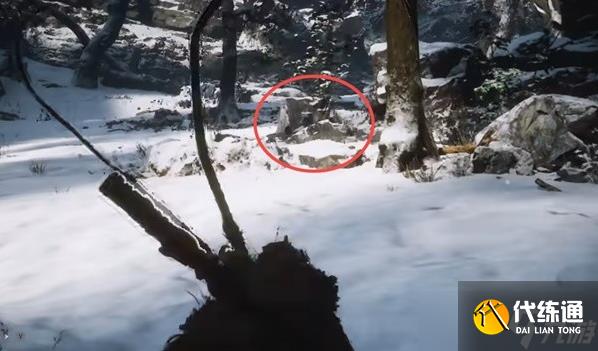 黑神话悟空龙胆种子在哪得 龙胆种子获取位置