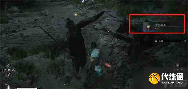 黑神话悟空清虚道果怎么获得 清虚道果泡酒物获取方法