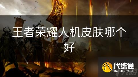 王者荣耀人机皮肤哪个好