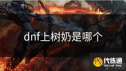 dnf上树奶是哪个