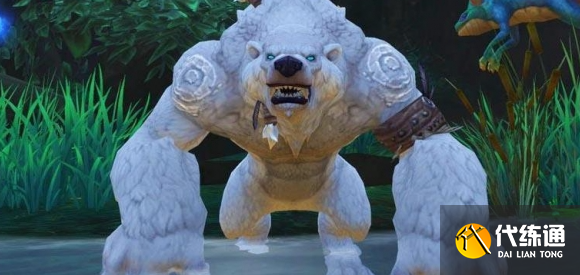 魔兽世界11.0熊德焦点打断宏有哪些