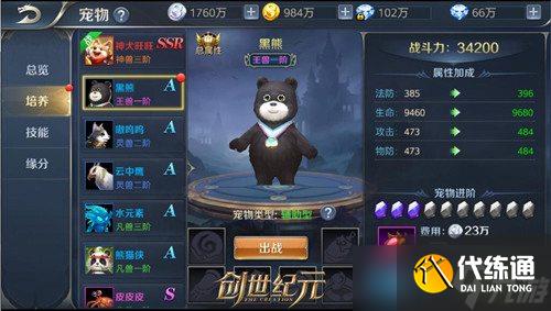 《命运方舟》传说宠物技能选择推荐：提升战斗力的最佳搭配