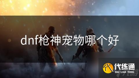dnf枪神宠物哪个好