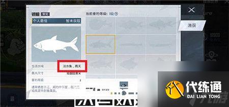 和平精英绿洲世界怎么下雨-和平精英绿洲世界下雨方法