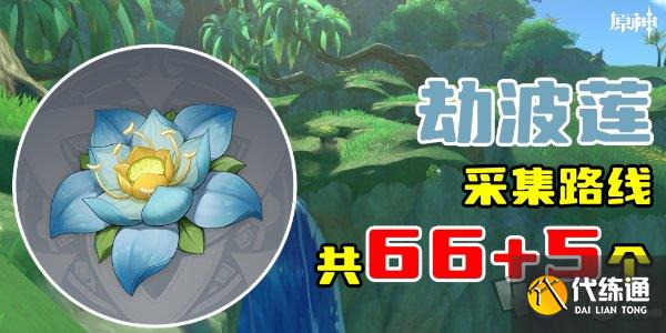 原神劫波莲采集位置分享 原神劫波莲采集分布图