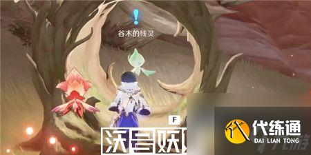 原神将忧昙花带给残灵任务怎么完成-原神将忧昙花带给残灵攻略