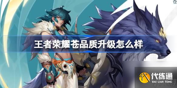 王者荣耀苍品质升级怎么样