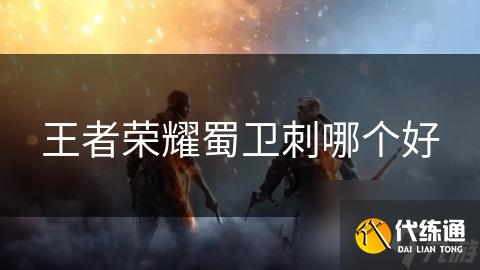 王者荣耀蜀卫刺哪个好