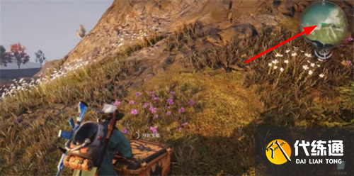 七日世界雪國(guó)人生永恒島寶箱獲取攻略