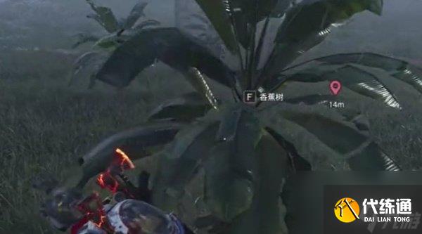 七日世界香蕉怎么獲取 香蕉獲取方法一覽