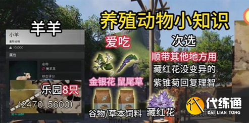 七日世界動物養(yǎng)什么好