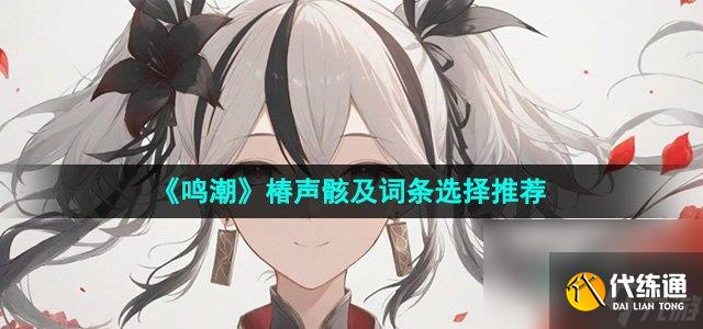 《鸣潮》椿声骸及词条选择推荐