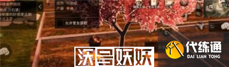 明日之后櫻花獲取方法是什么-明日之后櫻花獲取方法介紹