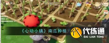 心动小镇南瓜种植方法