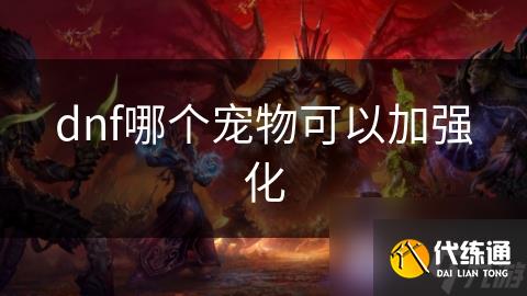 dnf哪个宠物可以加强化