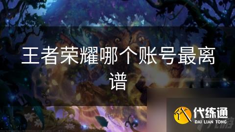 王者荣耀哪个账号最离谱