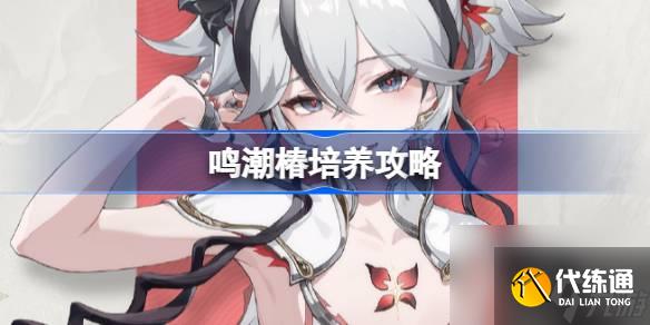 鸣潮椿培养攻略 鸣潮椿声骸武器阵容推荐