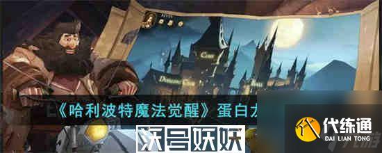 哈利波特魔法覺醒蛋白龍卡組怎么玩-哈利波特魔法覺醒蛋白龍卡組怎么玩攻略介紹