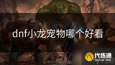 dnf小龙宠物哪个好看