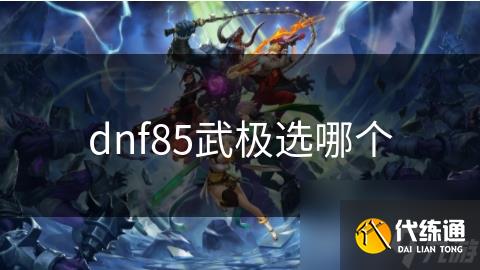 dnf85武极选哪个