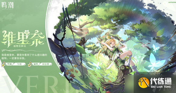 鸣潮椿主c配队推荐