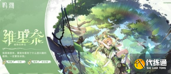 鸣潮椿主C阵容怎么搭配