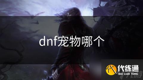 dnf宠物哪个