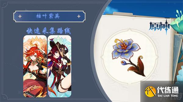 原神5.3枯叶紫英采集指南-原神玛薇卡材料采集路线与位置