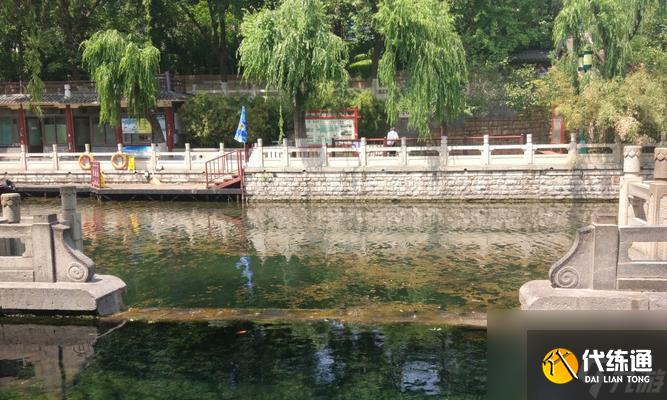 劍與遠征（揭秘密林泉音的通關奧秘）