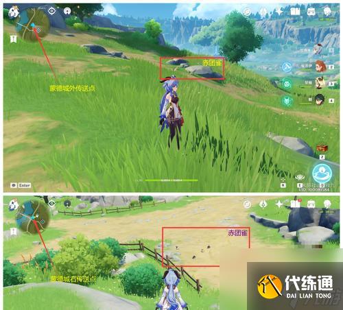 原神鸽子位置一览（《原神》中鸽子位置详细解析）