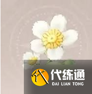 无限暖暖小绵菊怎么获得-小绵菊获取方法