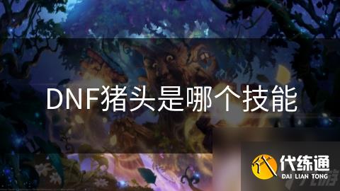 DNF猪头是哪个技能
